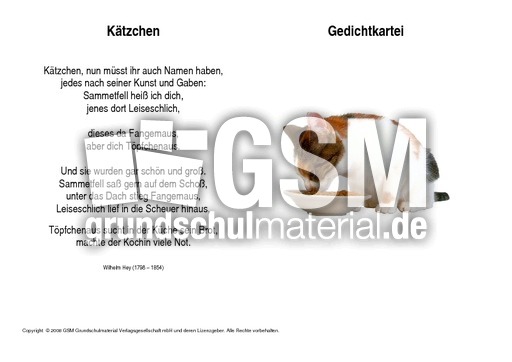 Kätzchen-Hey.pdf